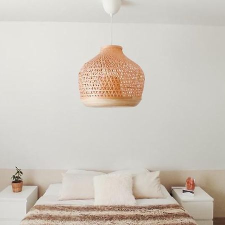 Cocoon Bed And Breakfast Fegersheim 外观 照片