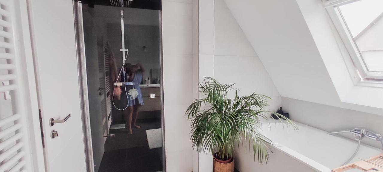 Cocoon Bed And Breakfast Fegersheim 外观 照片